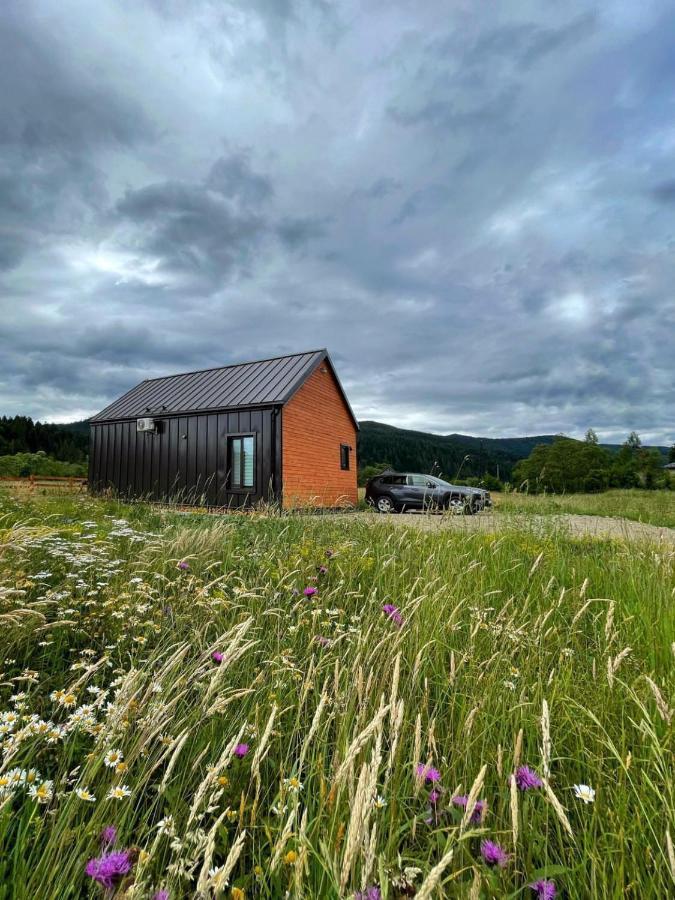 Barn S&S House Villa Mykulychyn Dış mekan fotoğraf