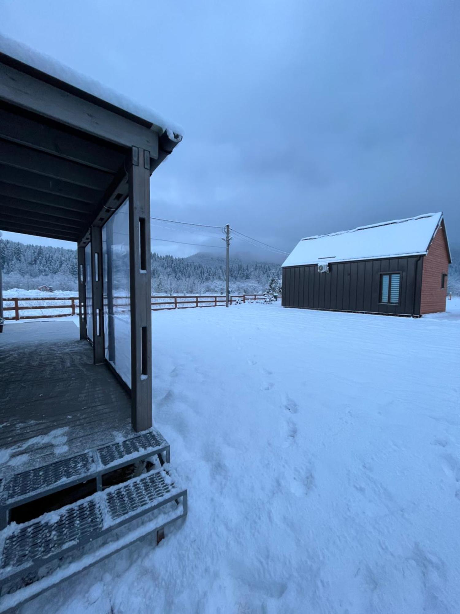 Barn S&S House Villa Mykulychyn Dış mekan fotoğraf